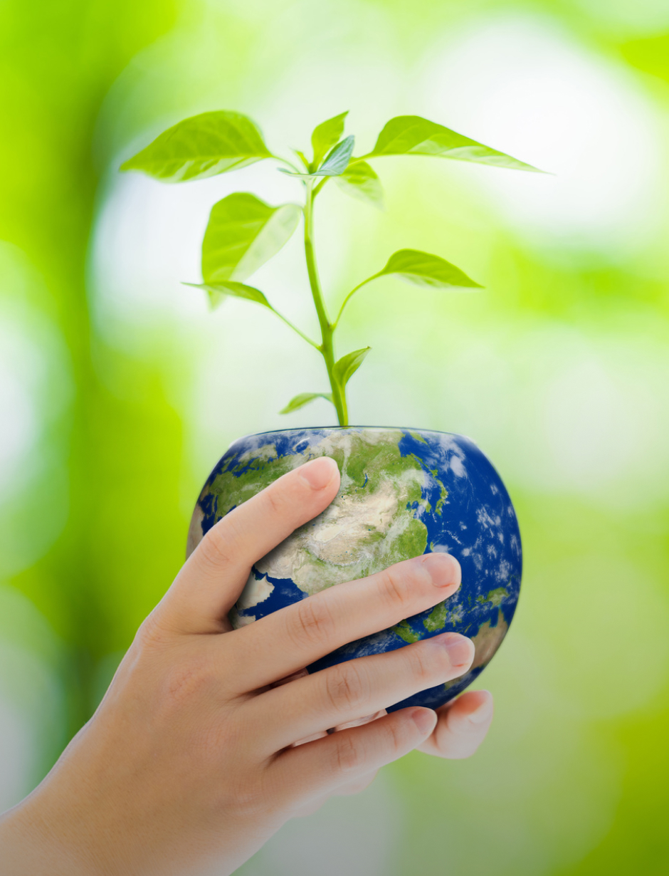 サステナビリティ - Sustainability